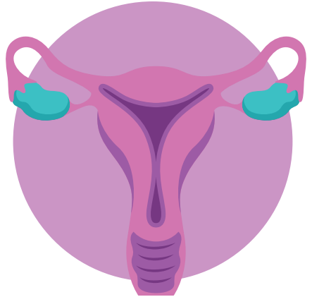 beneficio-utero-circulo