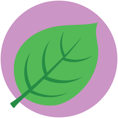 ingrediente-albahaca